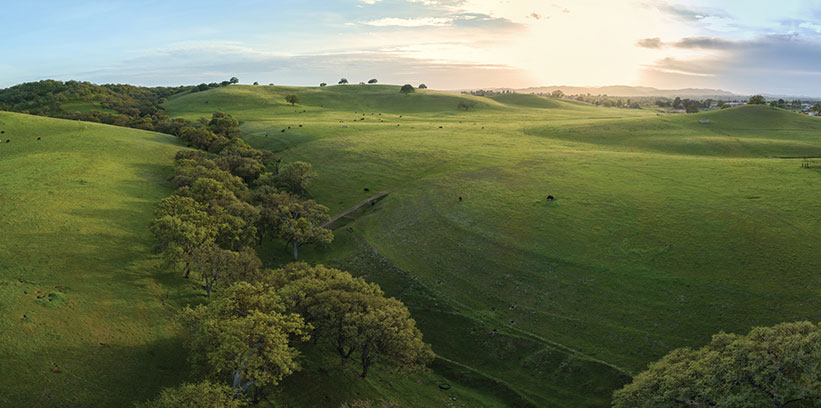  PasoRobles